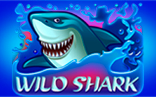 La slot machine Wild Shark